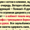 20+ уморительных кличек, что вызывают хохот прямо в очереди к ветеринару