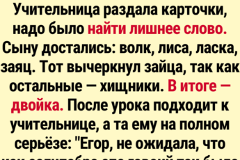17+ историй от мастеров «особой» грамотности